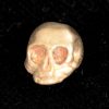 Small Shiny Bronze Skull Bead