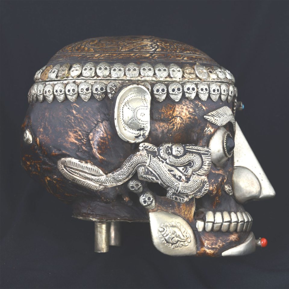 Tantric Human Full Skull Kapala | Tiger Tiger