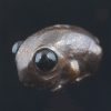 Froggish Bead with Stone Eyes