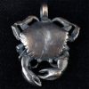 Tiny Bronze Crab Pendant #2