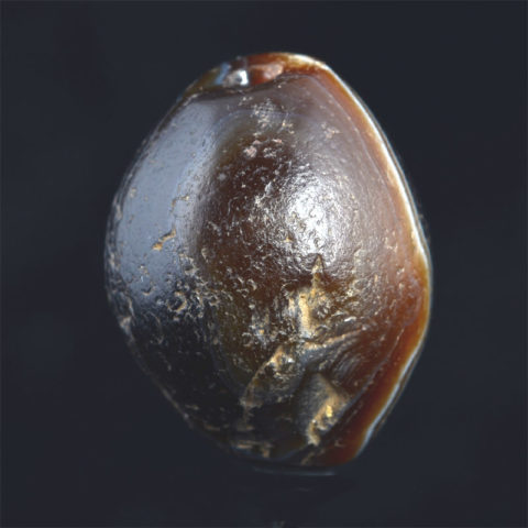 BC2359 | Ancient Chung Dzi Bead Agate with One Eye - 03 | BC2359 | Ancient Chung Dzi Bead Agate with One Eye - 03