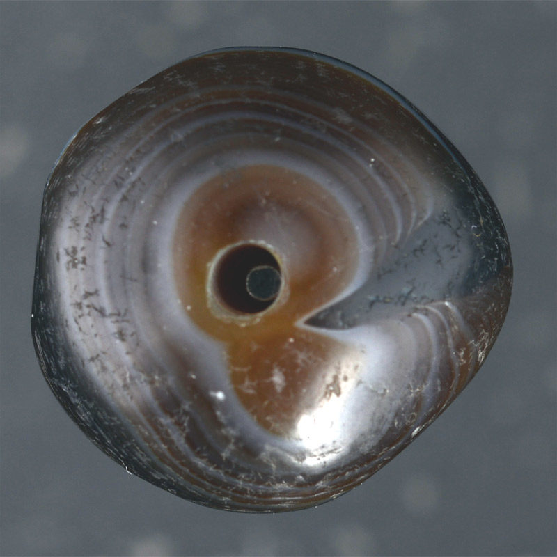 BC2463 | Ancient Banded Agate Dzi Bead – 05