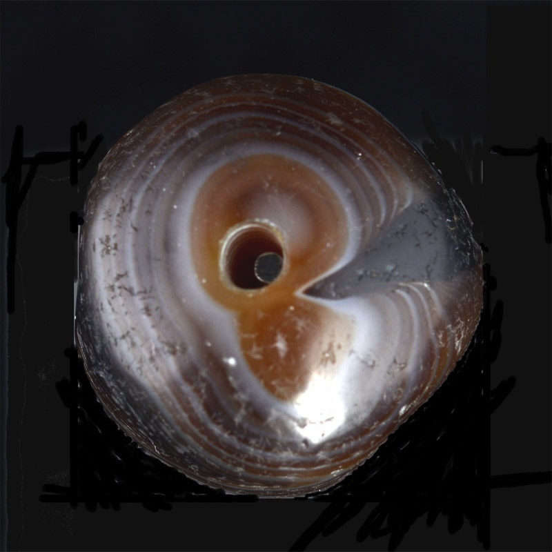 BC2463 | Ancient Banded Agate Dzi Bead – 06