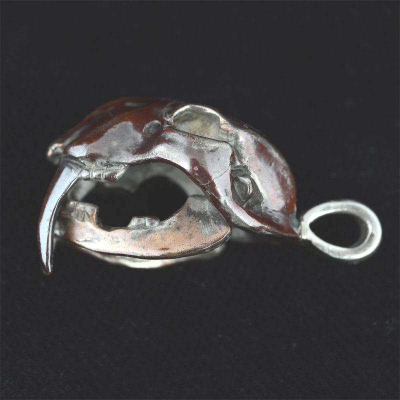 BBP37C | Smilodon Skull in Shibuichi & Silver w/Articulated Jaw  – 02