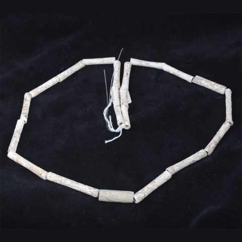 BC1679 | Dog Bones Ancient Shell Beads from Lopburi - 00