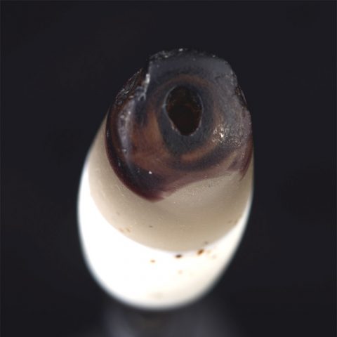 BC3287 | Ancient Glass Faux Agate Bead -  03