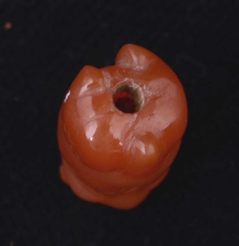 BC3289 | Pyu/Tircul Carnelian Pig Bead – 04