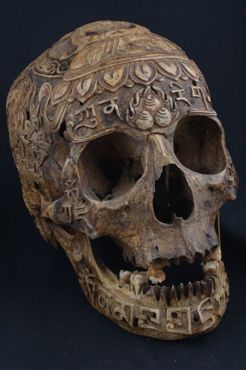 AA1152 | Vairocana Carved Tibetan Skull