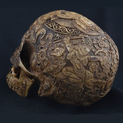 AA11522 | Tiger Tiger | Vairocana Carved Tibetan Skull