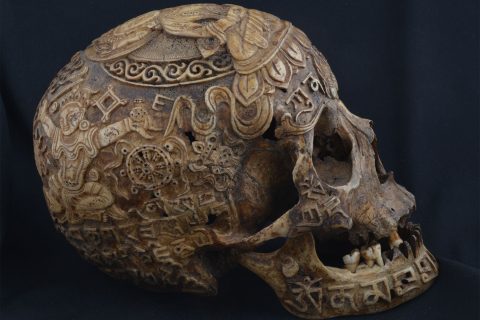 AA11523 Tiger Tiger | Vairocana Carved Tibetan Skull