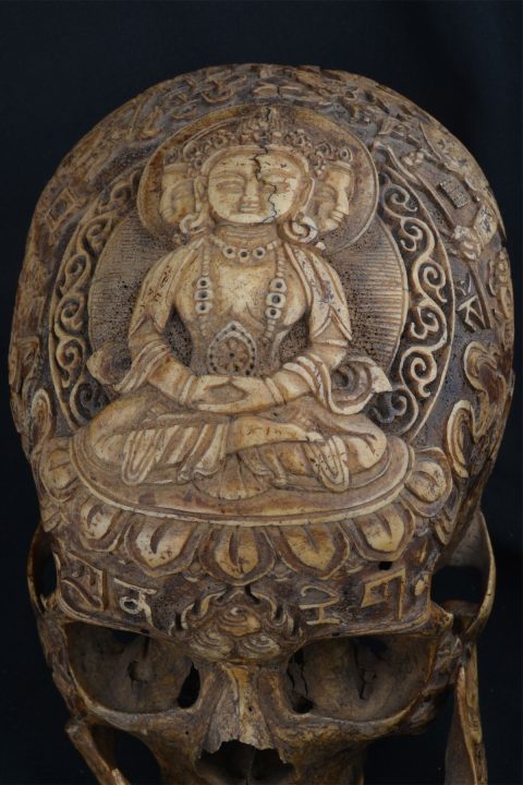 AA11525 | Tiger Tiger | Vairocana Carved Tibetan Skull