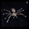 Life Sized Spider Sculpture by Robert Burkett