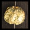 Precolumbian Serpentine Bead
