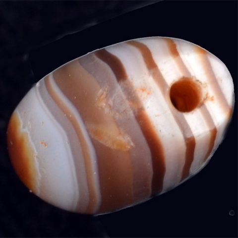 BC1476 | Wing Shape Natural Agate Bead - 01