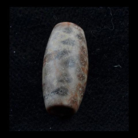 BC1526 | Fossilized Palm Wood Paleolithic Bead - 00 | BC1526 | Fossilized Palm Wood Paleolithic Bead - 01