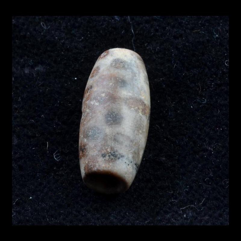 BC1526 | Fossilized Palm Wood Paleolithic Bead - 00 | BC1526 | Fossilized Palm Wood Paleolithic Bead - 00