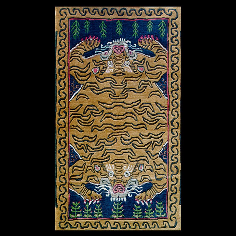 CT009 | Two Headed Tiger Carpet, with Manicure | CT009 | Two Headed Tiger Carpet, with Manicure