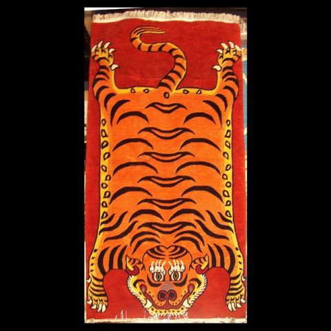 CT015 | Quintessential Tiger Carpet