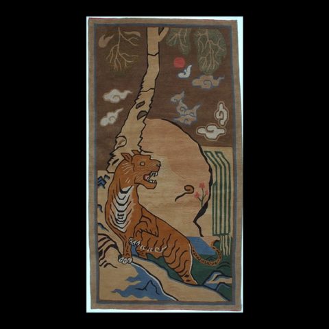 CT116 | Tiger in Brown Landscape