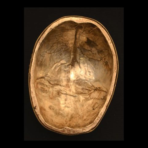 KP209 | Sterling Lined Human Skull Kapala with Mahakala Carving - 01
