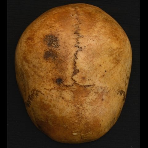 KP501 | Antique Human Skull Kapala from Tibet - 01 | KP501 | Antique Human Skull Kapala from Tibet - 01