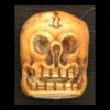 Large Hand Carved Skull Bead