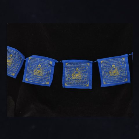 PF10-03MB | 3 - inch Medicine Buddha Prayer Flags, 2 Cycle (string of 10) - 01