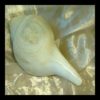 Sankha – Conch Shell Trumpet